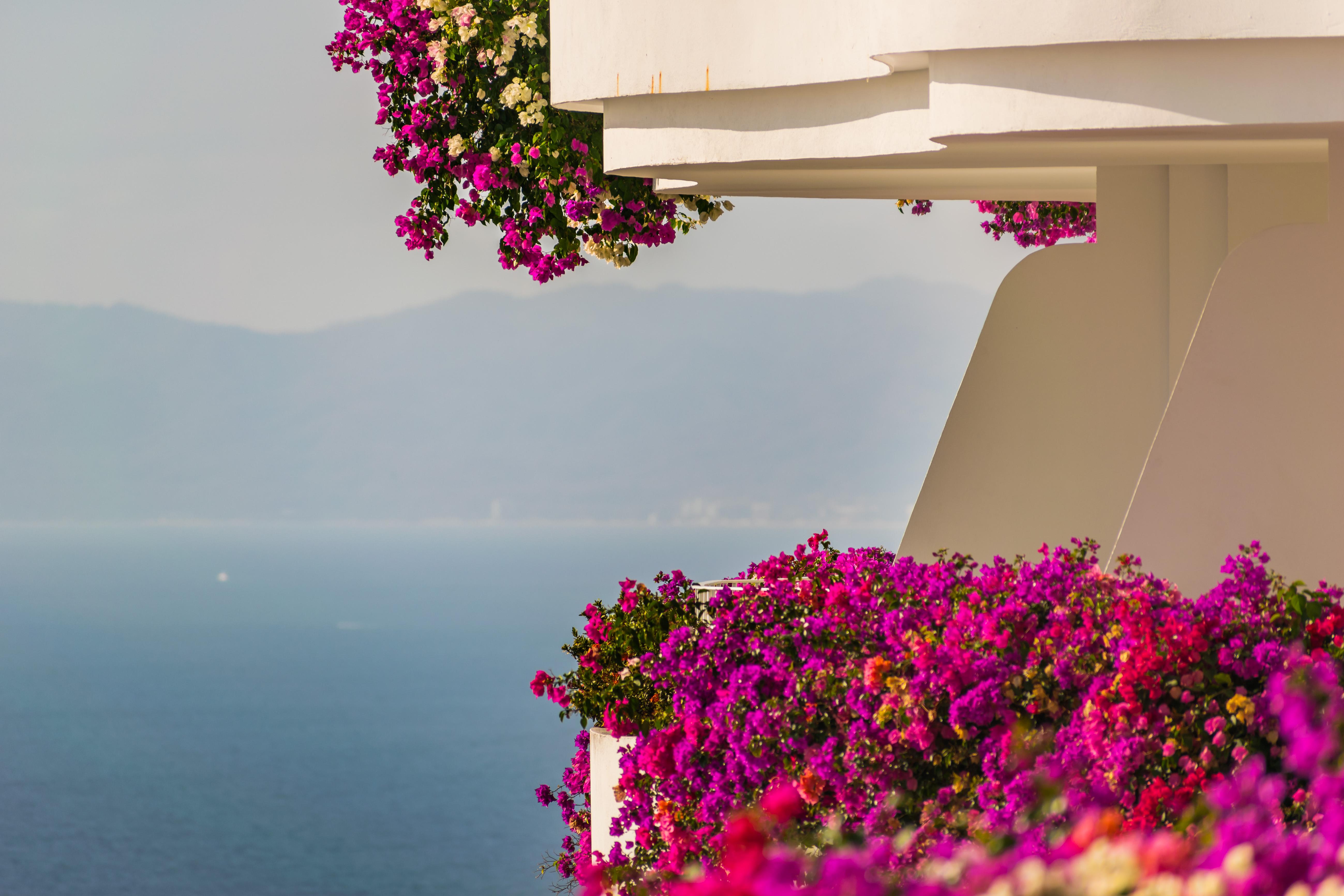 Grand Miramar All Luxury Suites & Residences (Adults Only) Пуэрто-Вальярта Экстерьер фото