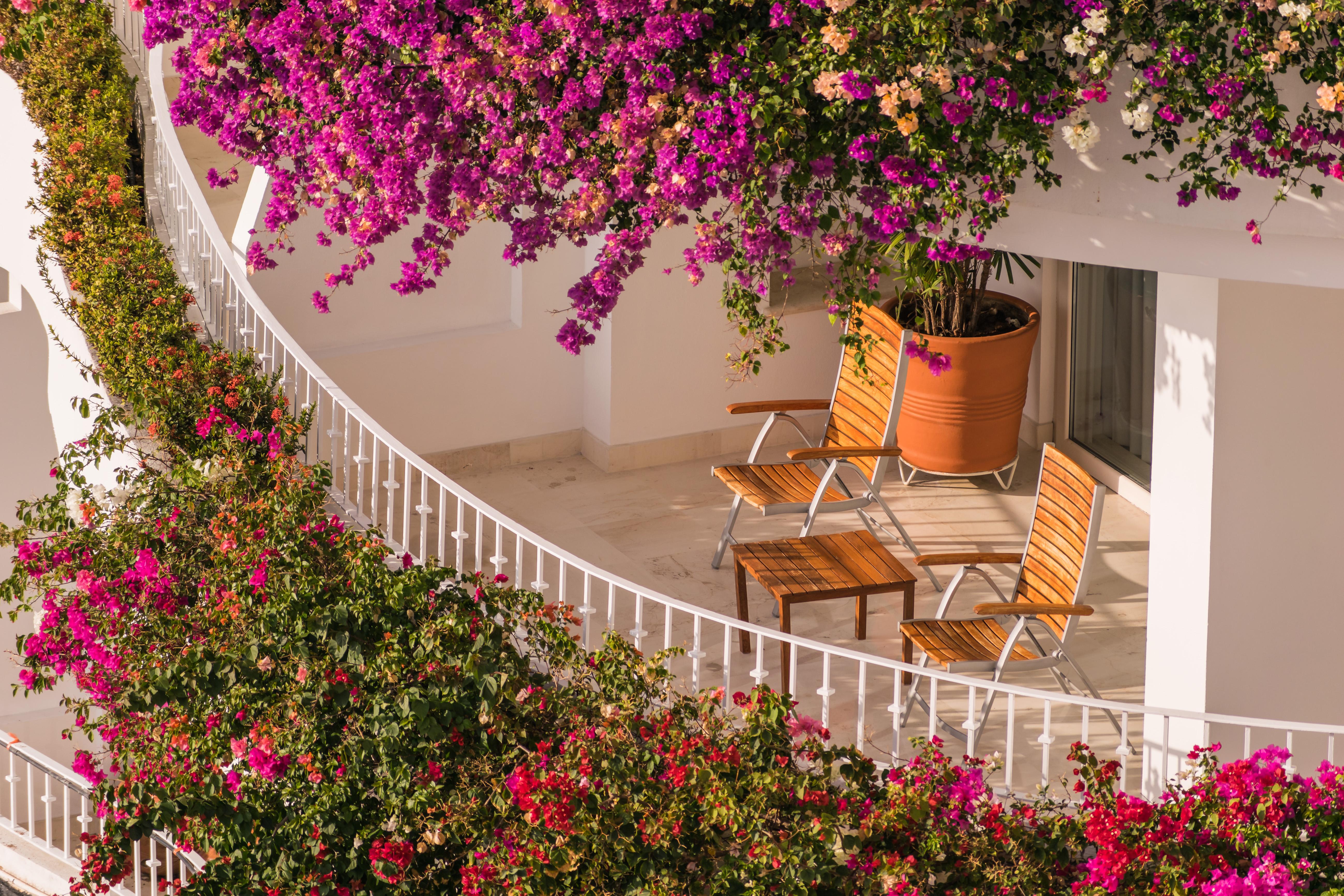 Grand Miramar All Luxury Suites & Residences (Adults Only) Пуэрто-Вальярта Экстерьер фото